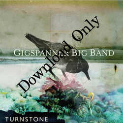 'TURNSTONE' CD DOWNLOAD ONLY